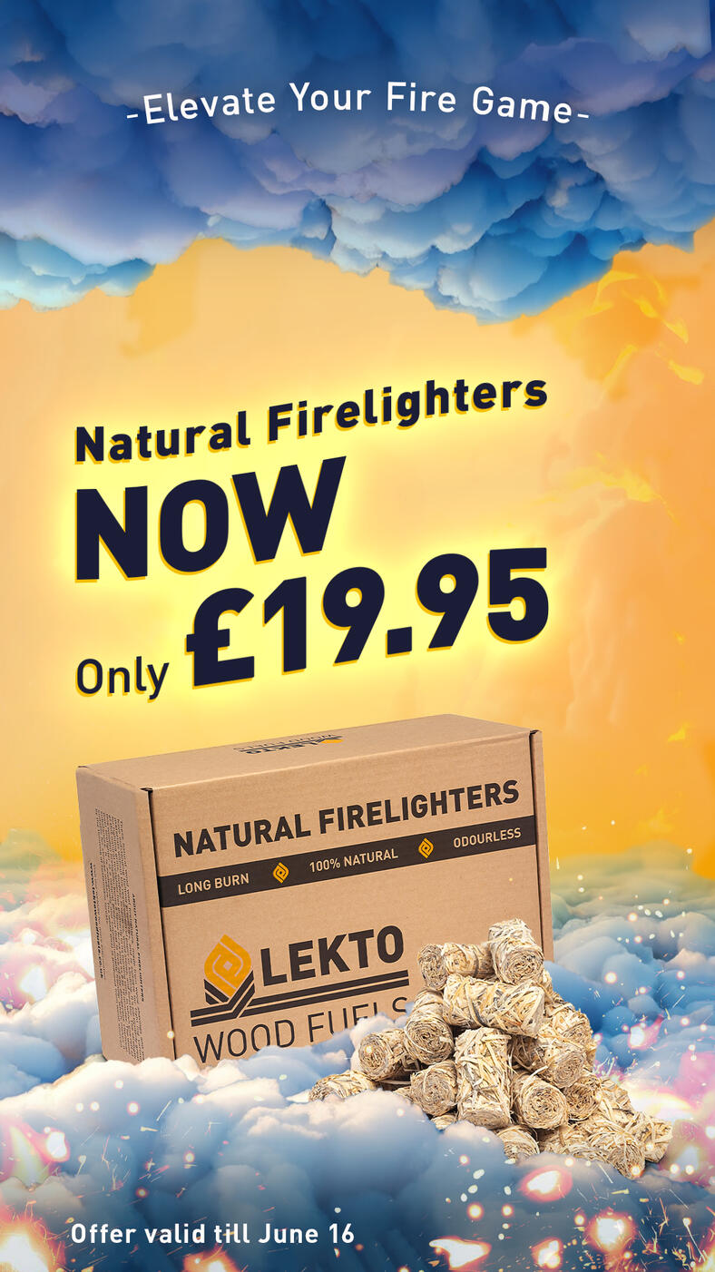 Fire Game2 Instagram Story Ad